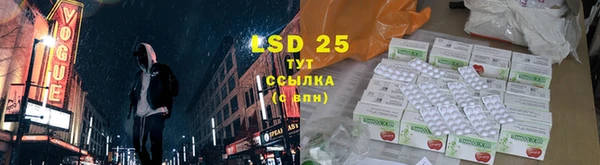 ГАЛЛЮЦИНОГЕННЫЕ ГРИБЫ Абинск