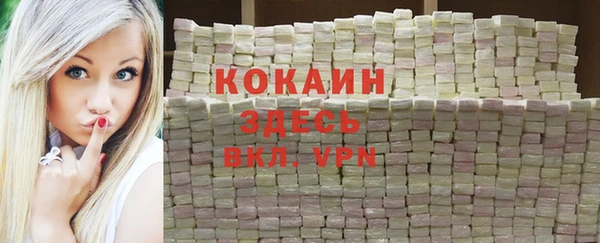 МДПВ Алзамай